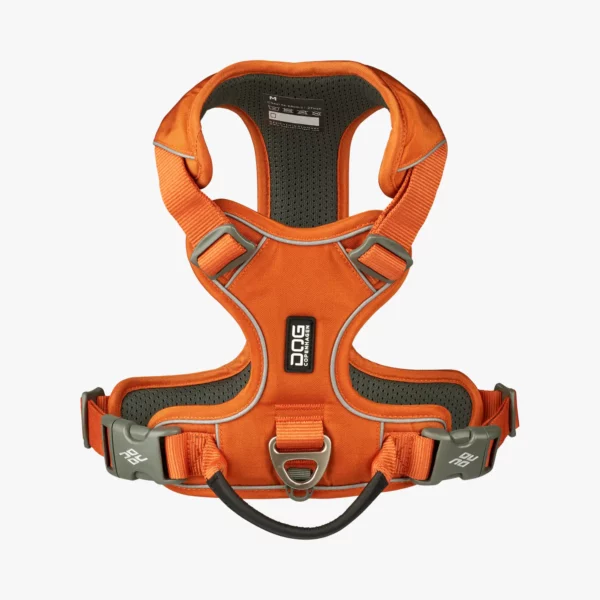 Walk Pro